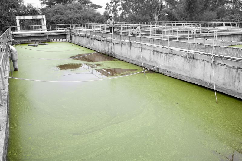 Integrated Approach for Encountering Wastewater Challenges - a sewage treatment plant (STP) on the shores of Hebbal Lake in Bengaluru, Karnataka